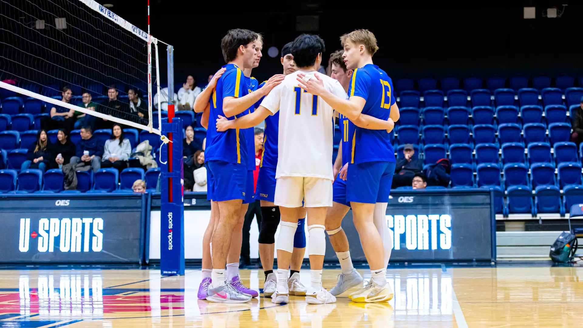 Bold Fall to Varsity Blues