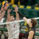 Shand paces quiet Bears offence in stingy 3-0 victory over
Wesmen