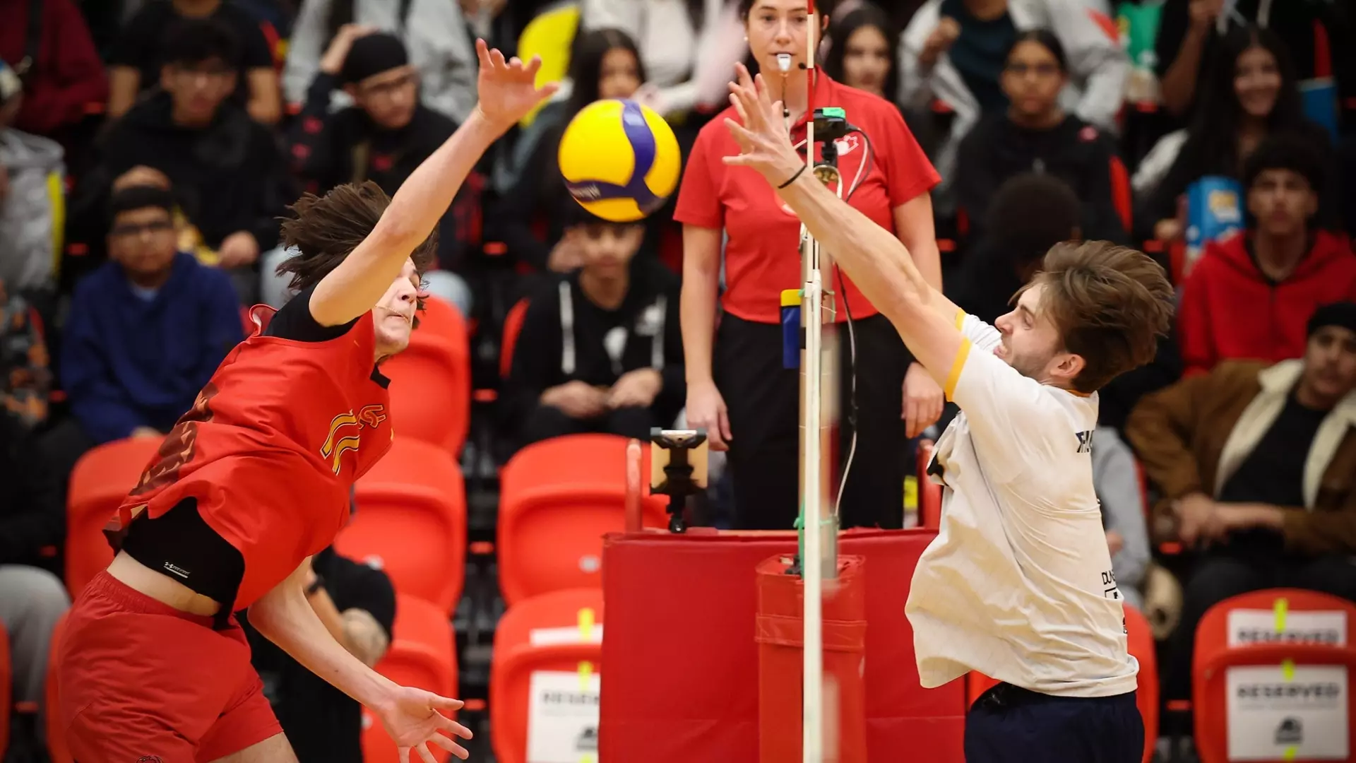 Dinos tested by top-ranked UBC at home