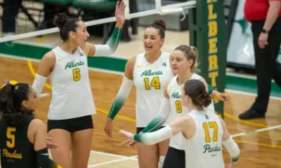 Depth charge leads Pandas over Wesmen 3-1 in fifth-straight
win