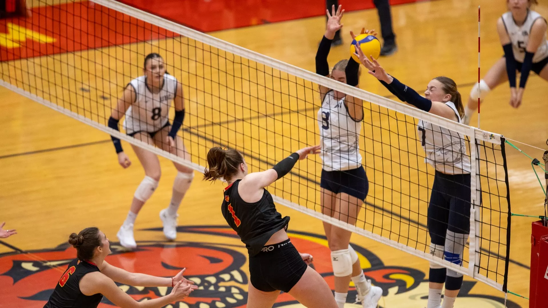 Thunderbirds earn weekend sweep in hard-fought straight sets
victory