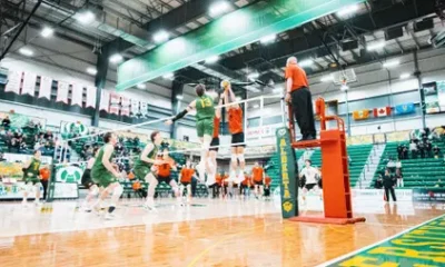 Bears suffer reverse fortune in 3-0 loss versus
Wesmen