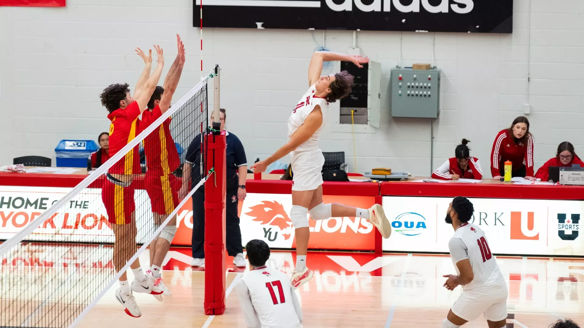 LIONS DROP HEARTBREAKING FIVE-SET HEAVYWEIGHT BATTLE TO
GRYPHONS