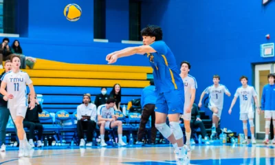 Bold Fall to Warriors