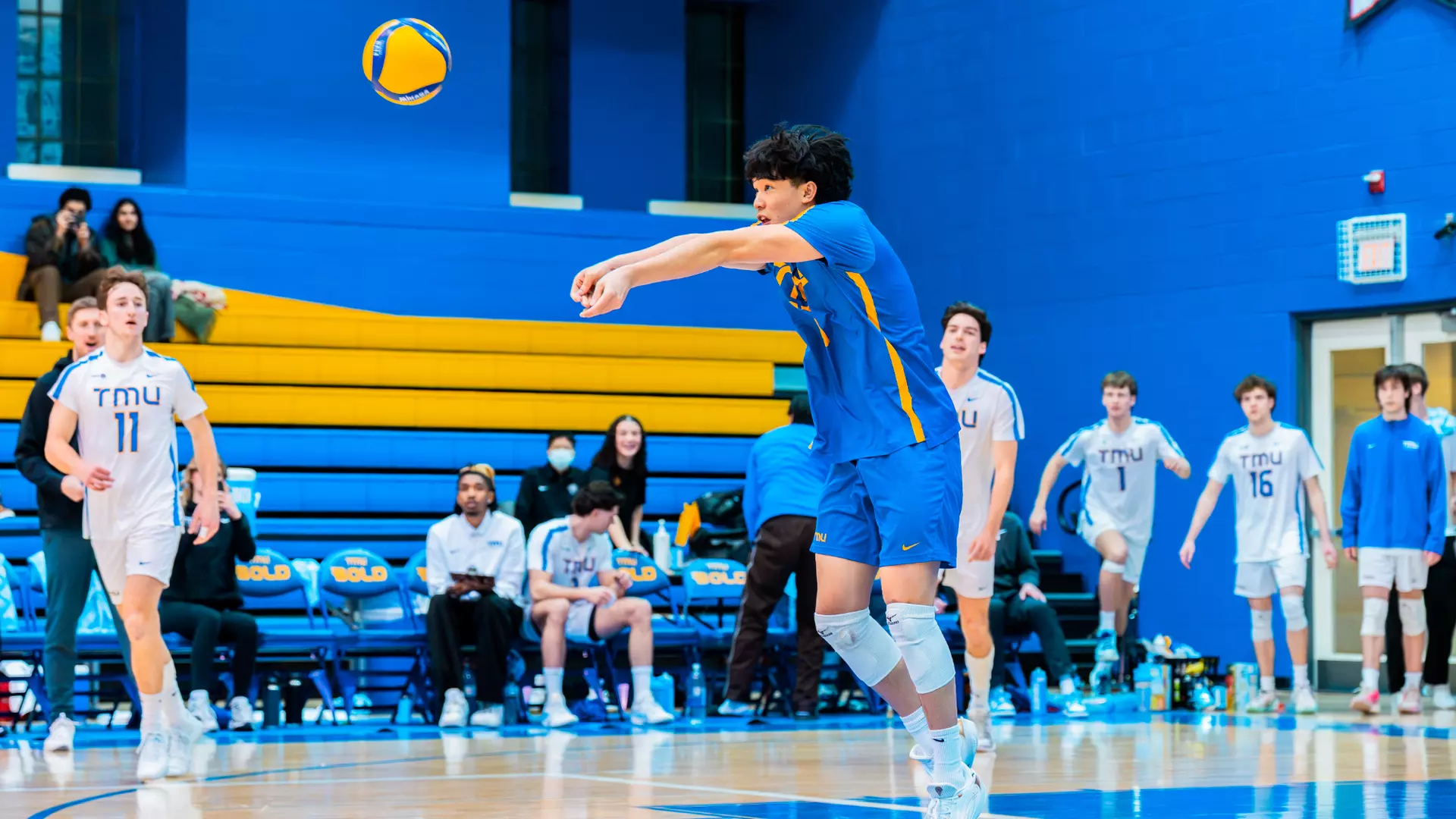 Bold Fall to Warriors