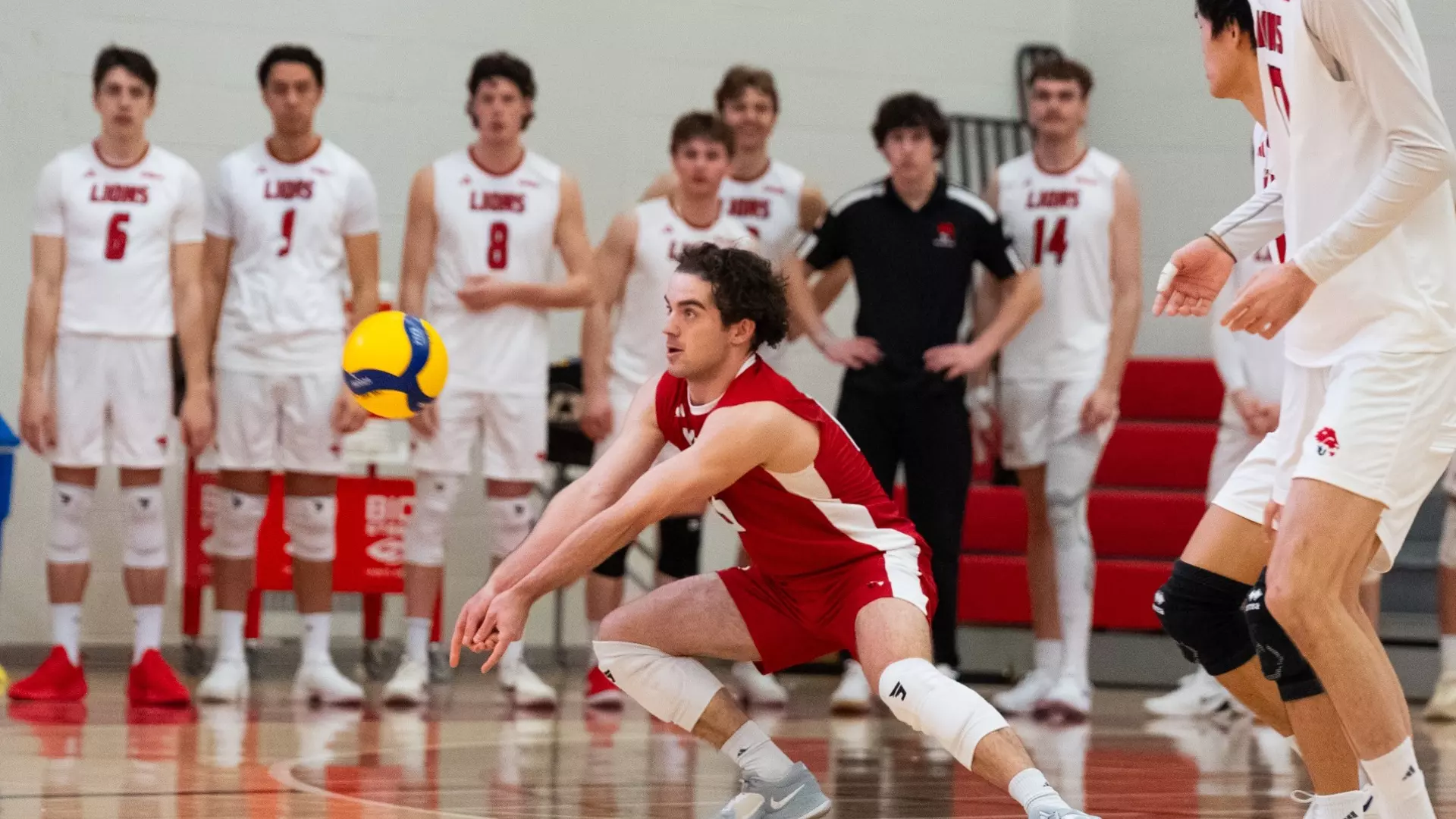 LIONS HOST LAKERS FOR WEEKEND SERIES ON HOME COURT