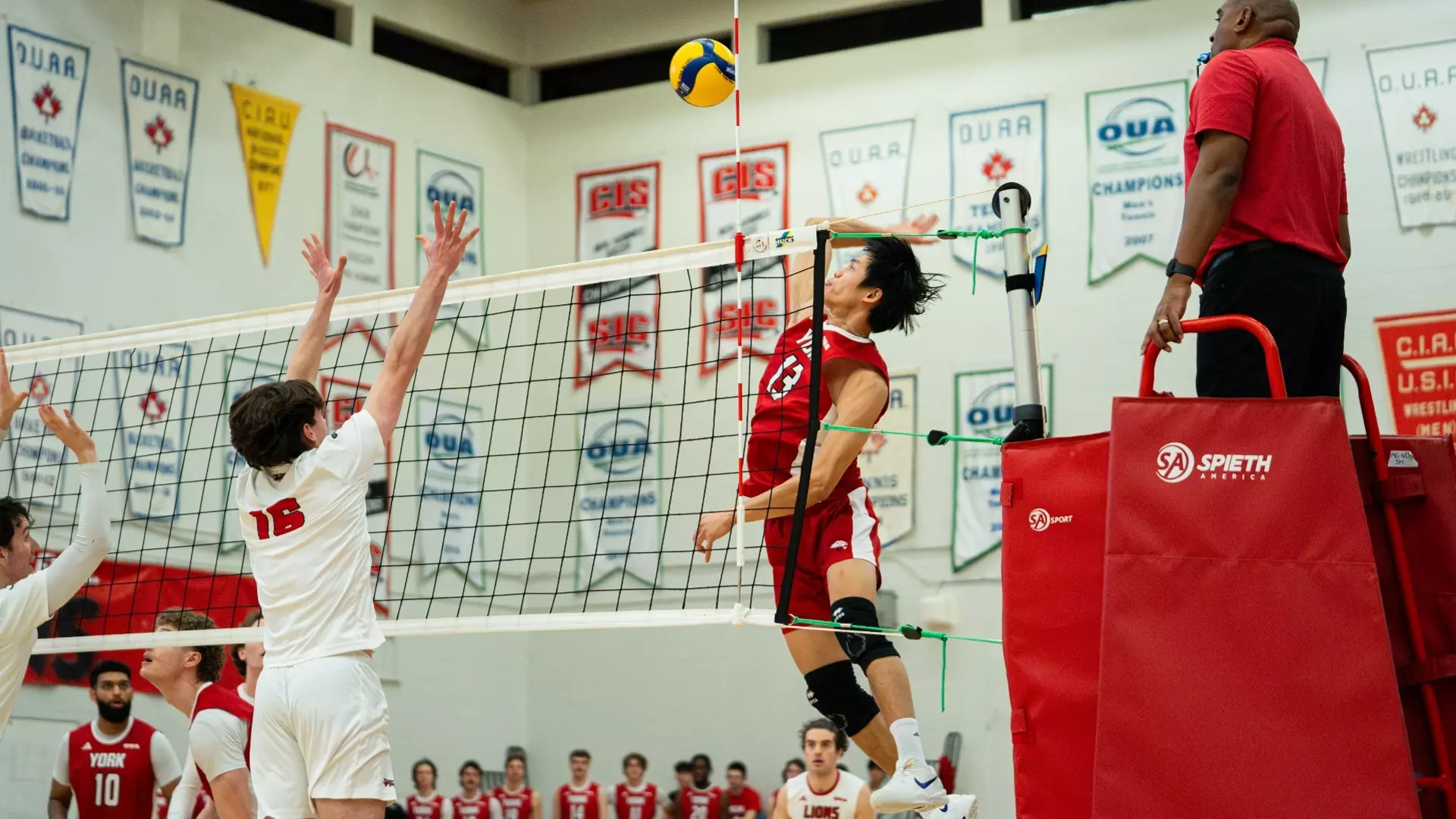 LIONS AND MUSTANGS SET TO BATTLE FOR POSITION IN REGULAR
SEASON-ENDING SERIES