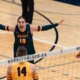 GAELS TRIUMPH OVER VARSITY BLUES IN FOUR SET WIN