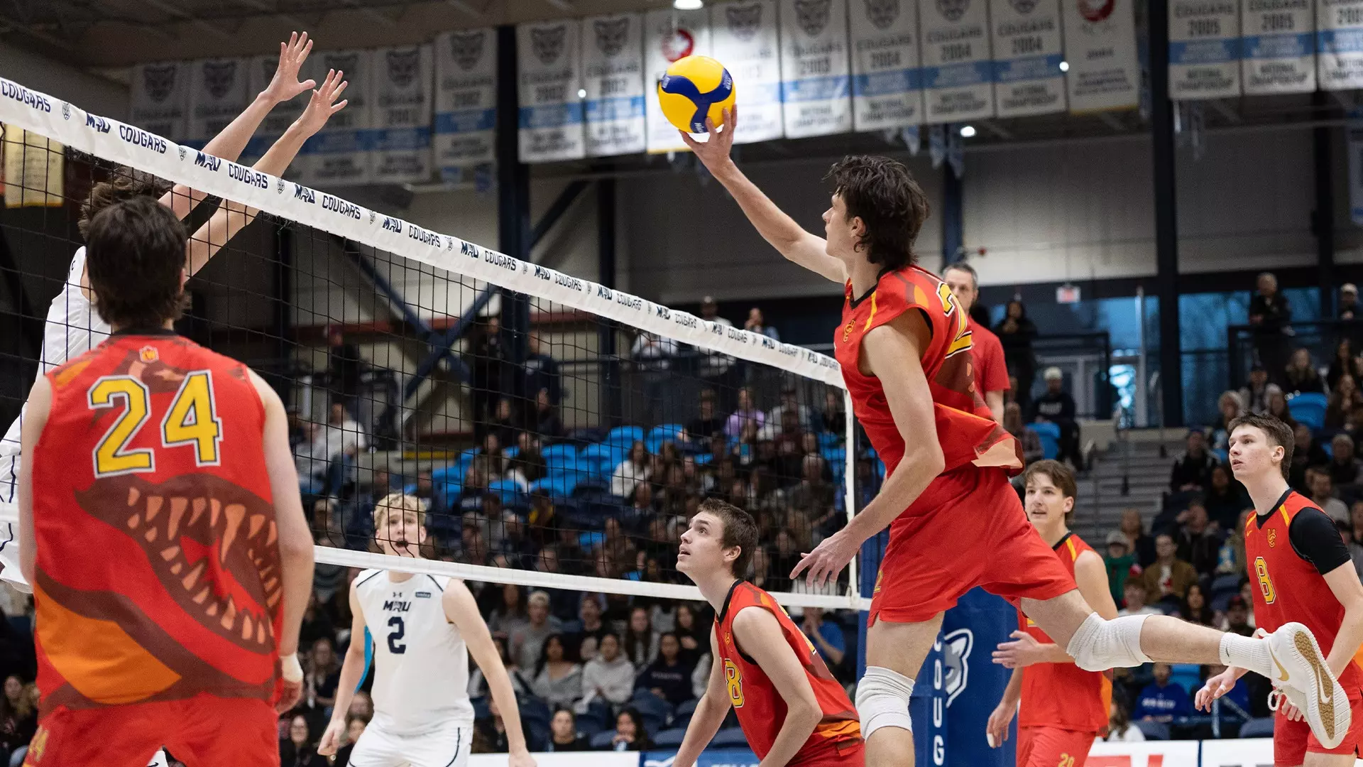 Dinos fall in Crowchild showdown