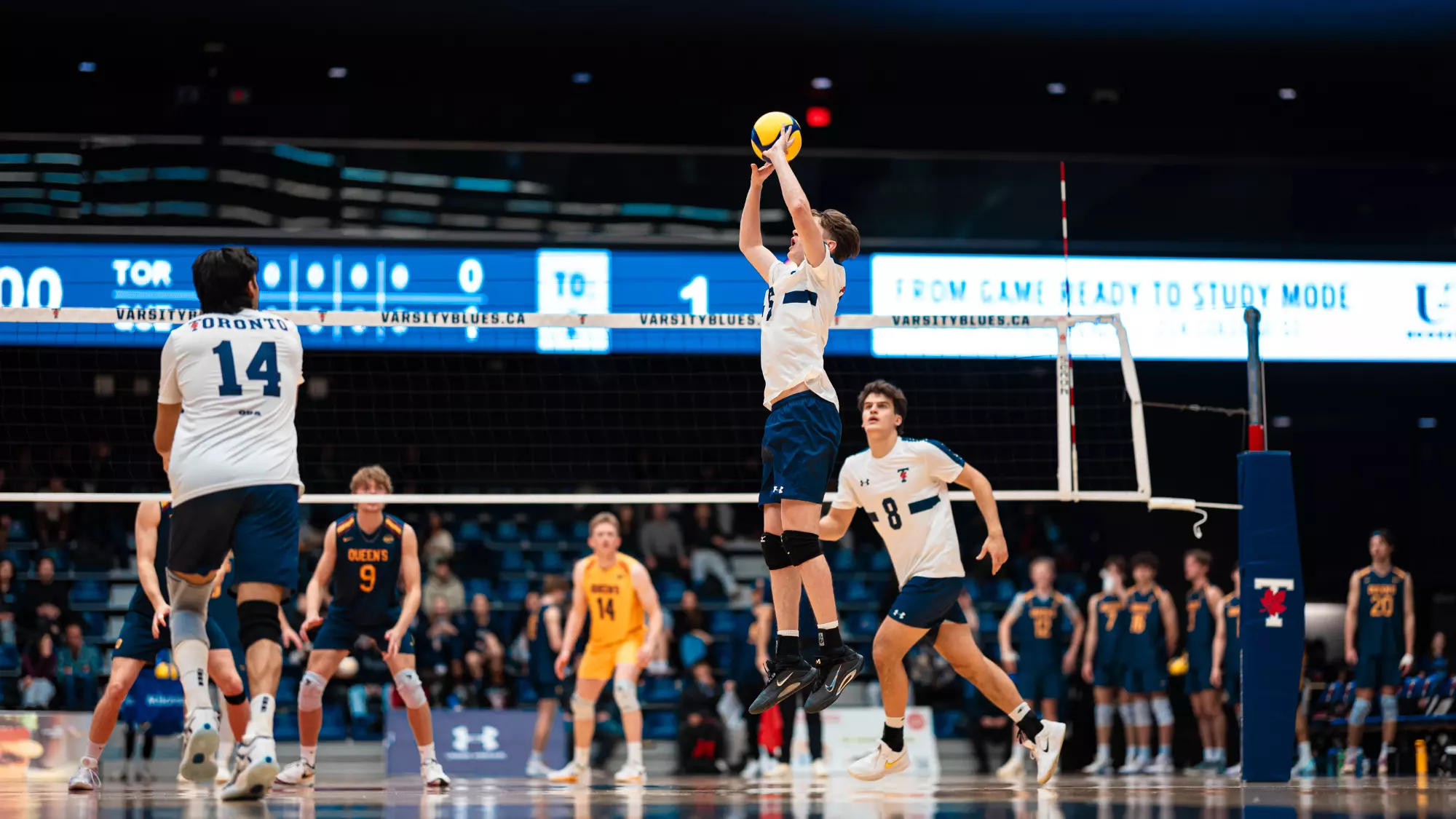 Queen’s Men’s Volleyball drop road contest to Varsity
Blues