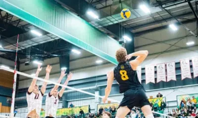 Ferocious Bears attack leads to sweep of Griffins