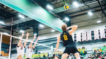 Ferocious Bears attack leads to sweep of Griffins