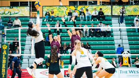 Pandas take care of business in straight-sets victory over
Griffins
