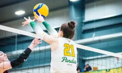 Pandas finish regular season with dominant 3-0 sweep of
Griffins