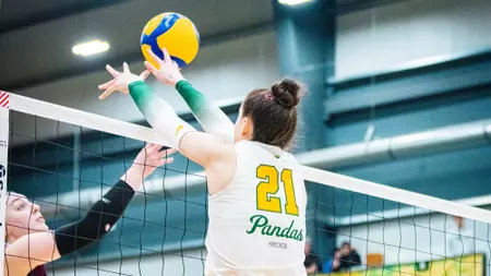 Pandas finish regular season with dominant 3-0 sweep of
Griffins