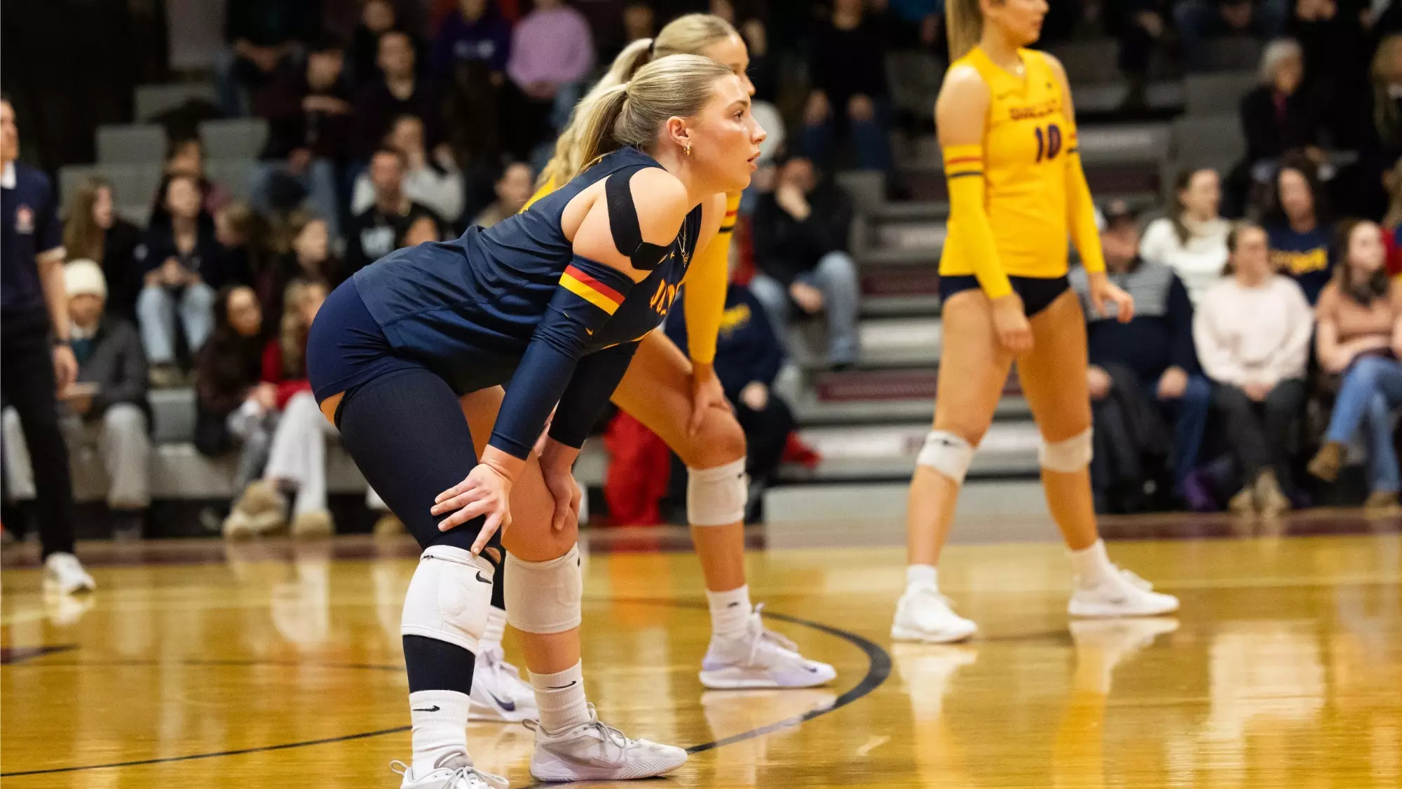 GAELS FALL TO GEE-GEES IN INTENSE FIVE-SET MATCH ON THE
ROAD