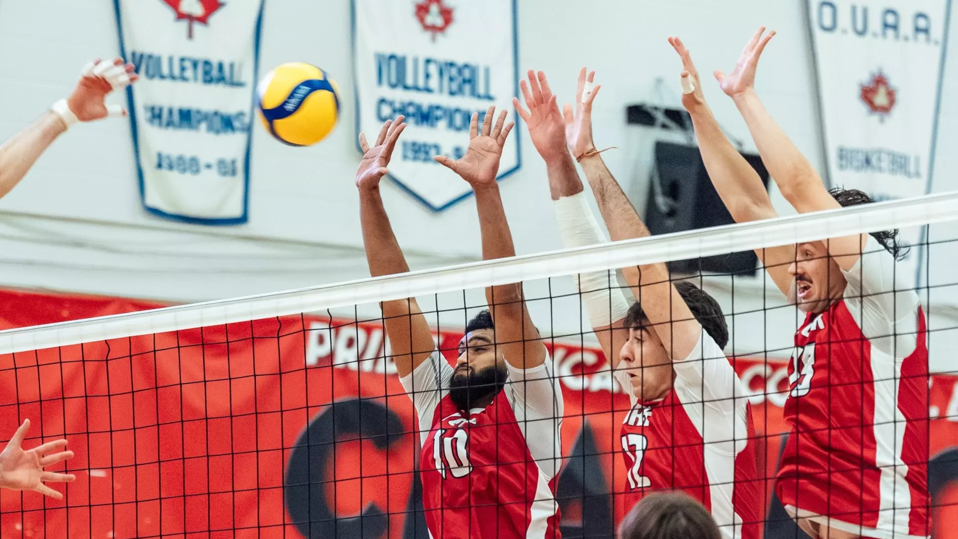 YORK TRAVELS TO QUEEN’S FOR FRIDAY OUA QUARTER-FINAL