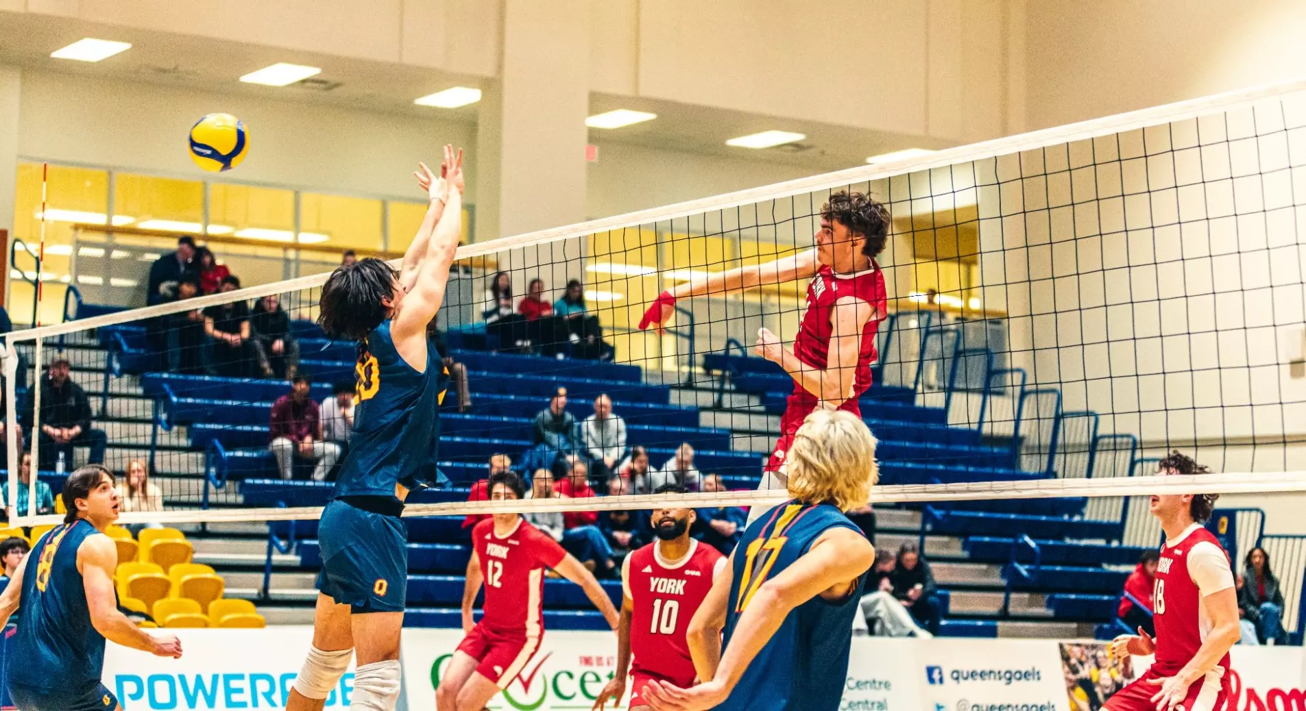 LIONS LEAVE IT ALL ON THE COURT IN GRITTY QUARTER-FINAL LOSS
TO GAELS