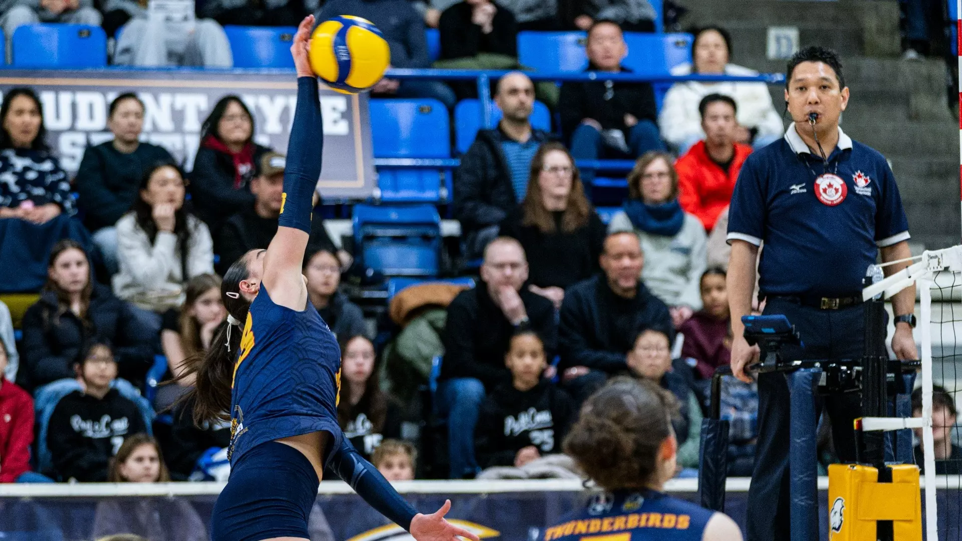 Thunderbirds begin postseason journey with home series
against Cascades