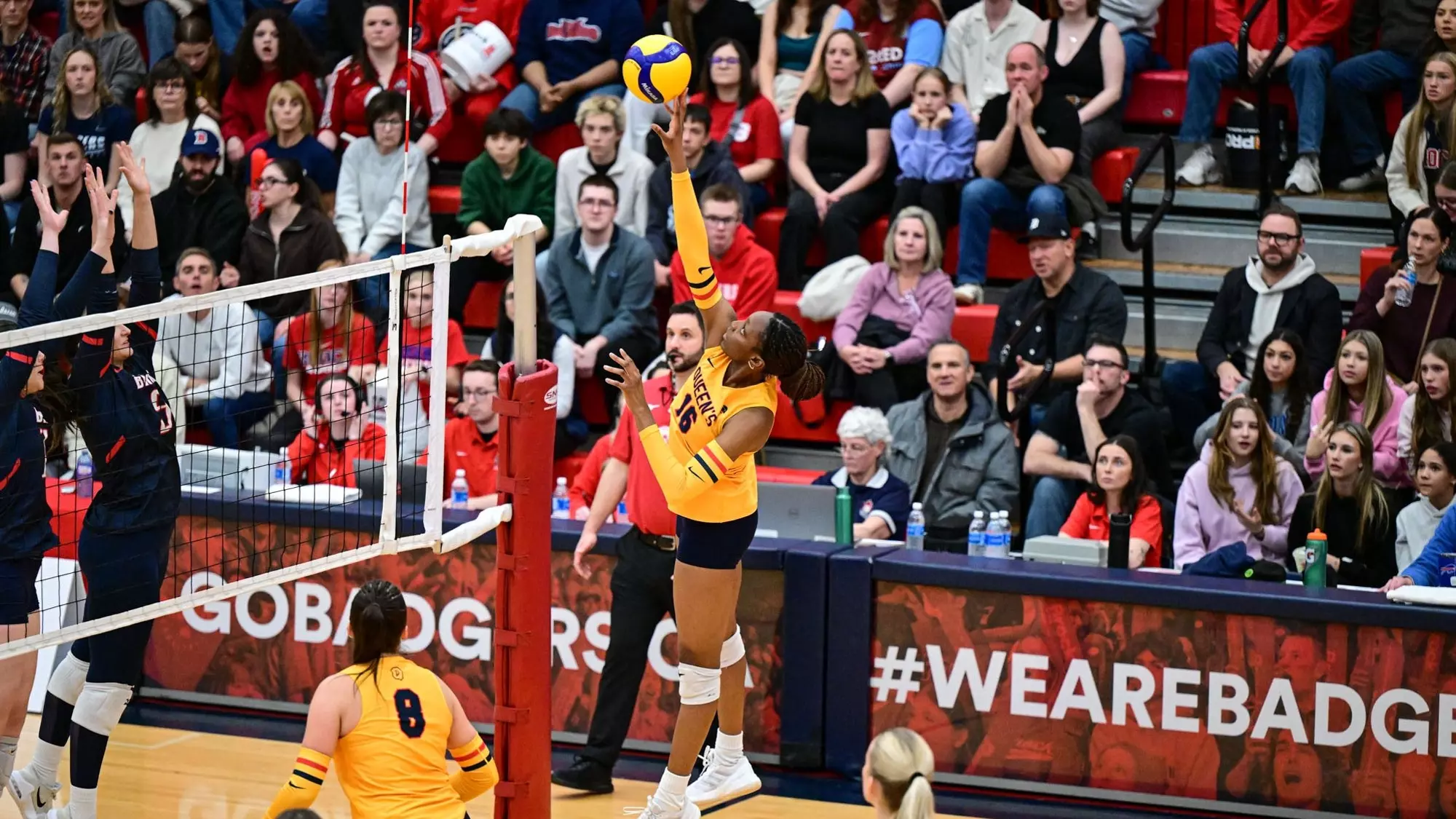 Gaels Fall 3-1 to Brock Badgers in Competitive OUA
Semifinal