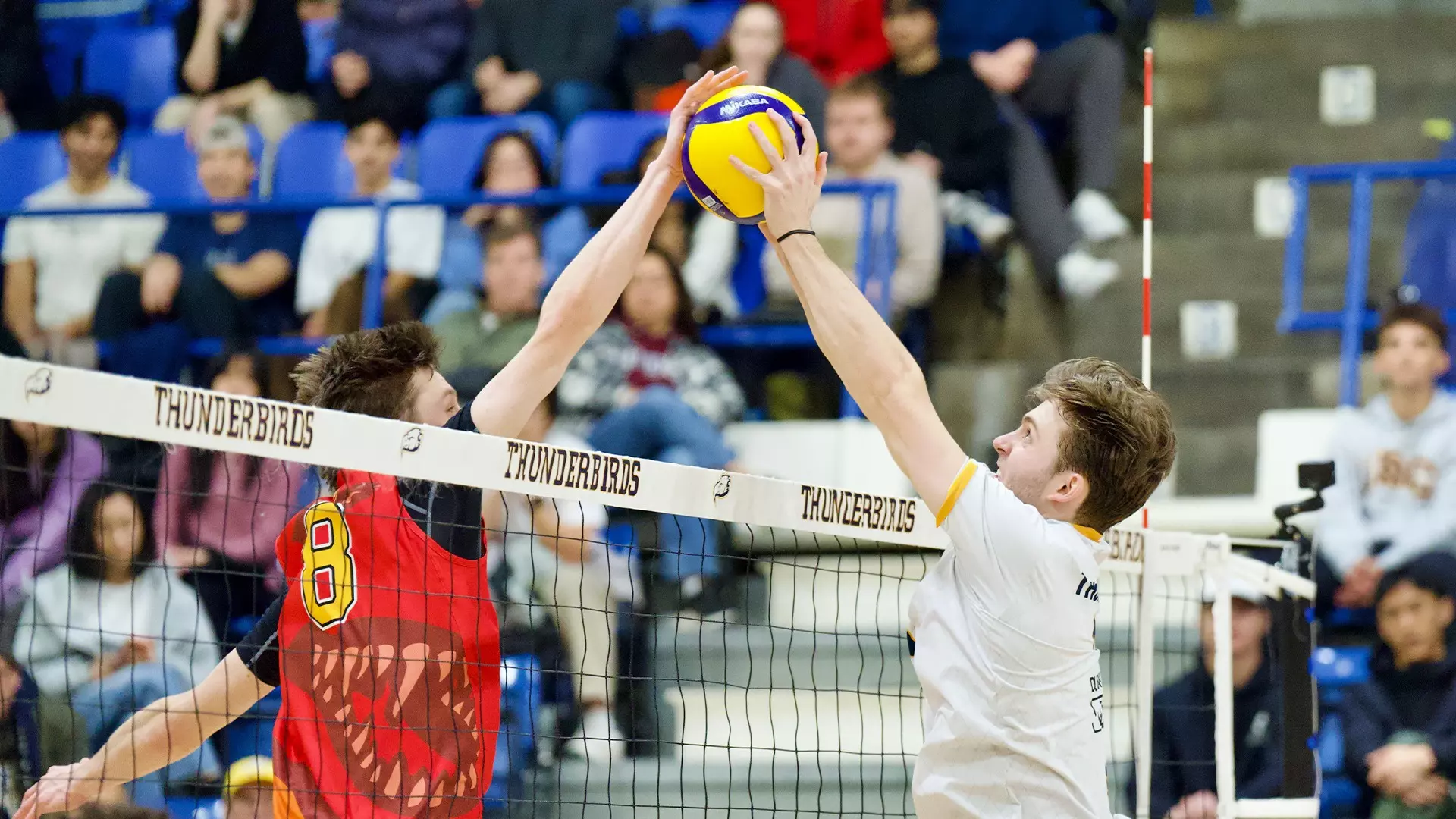 Thunderbirds eliminate Dinos in four-set playoff
thriller