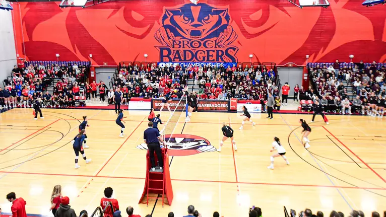 Badgers set to face Marauders in third straight Quigley Cup
showdown
