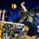 T-Birds topped in Canada West semis by triumphant
Bisons