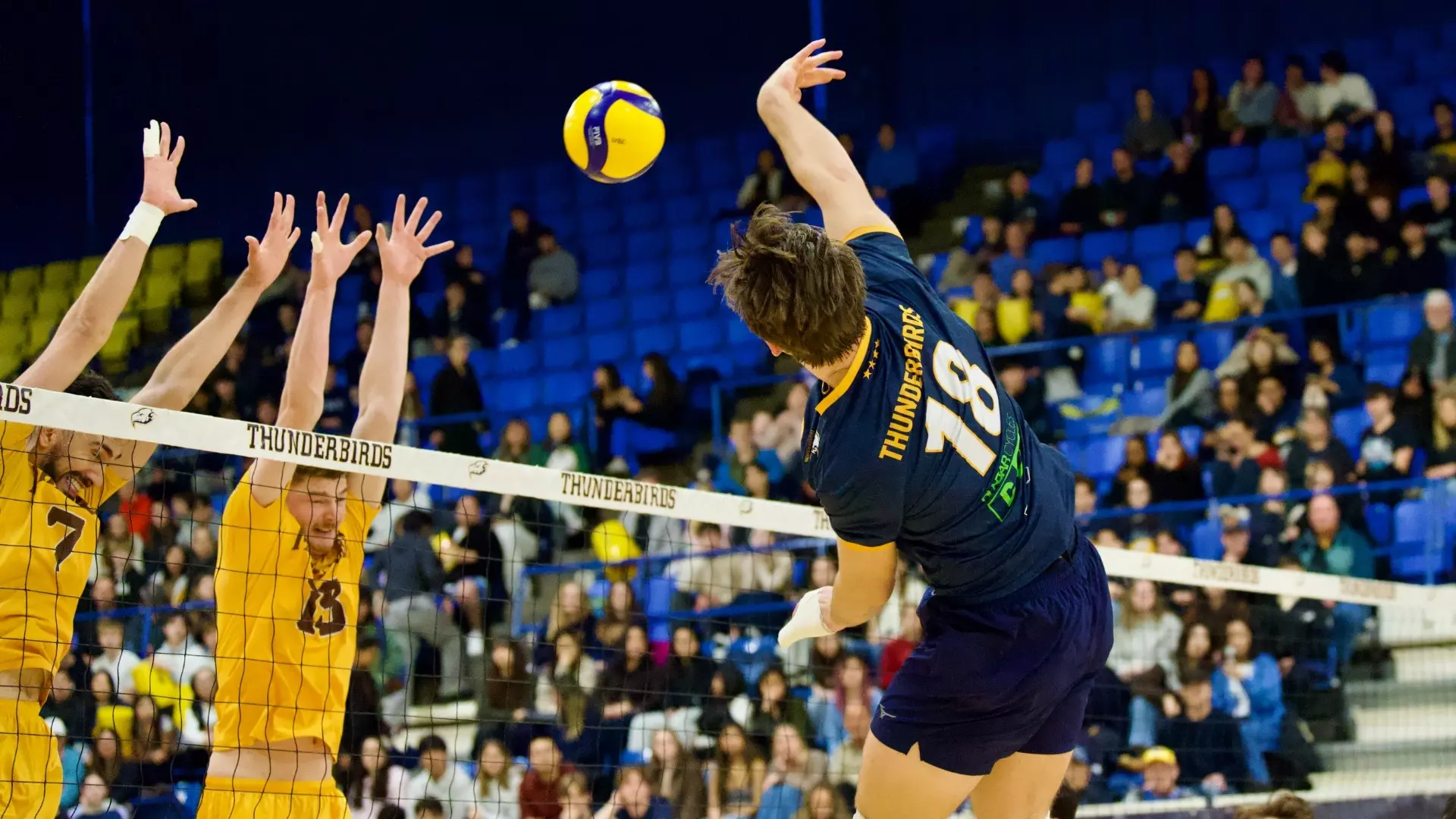 T-Birds topped in Canada West semis by triumphant
Bisons