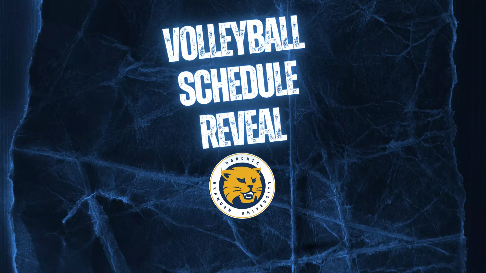 Bobcats Announce 2026-27 Volleyball Schedule