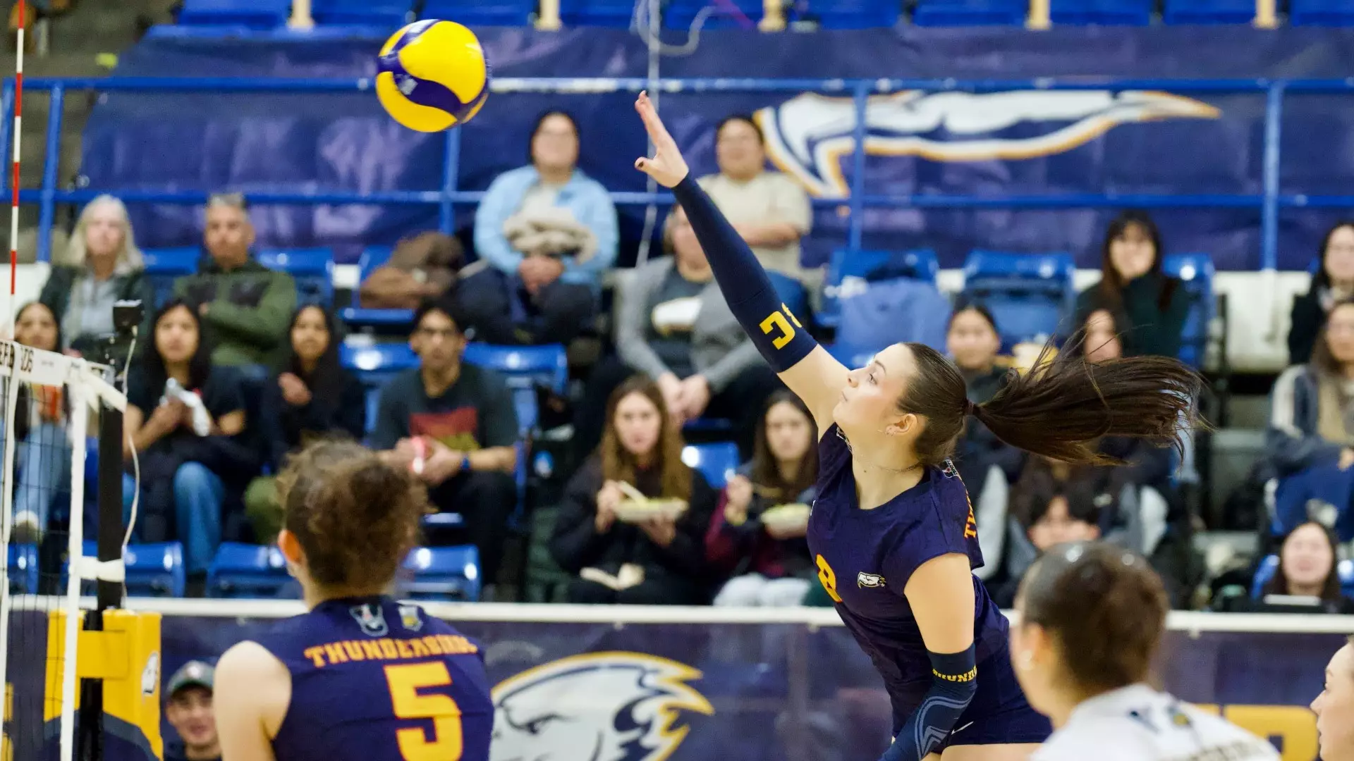 T-Birds host Dinos for hotly anticipated home opener