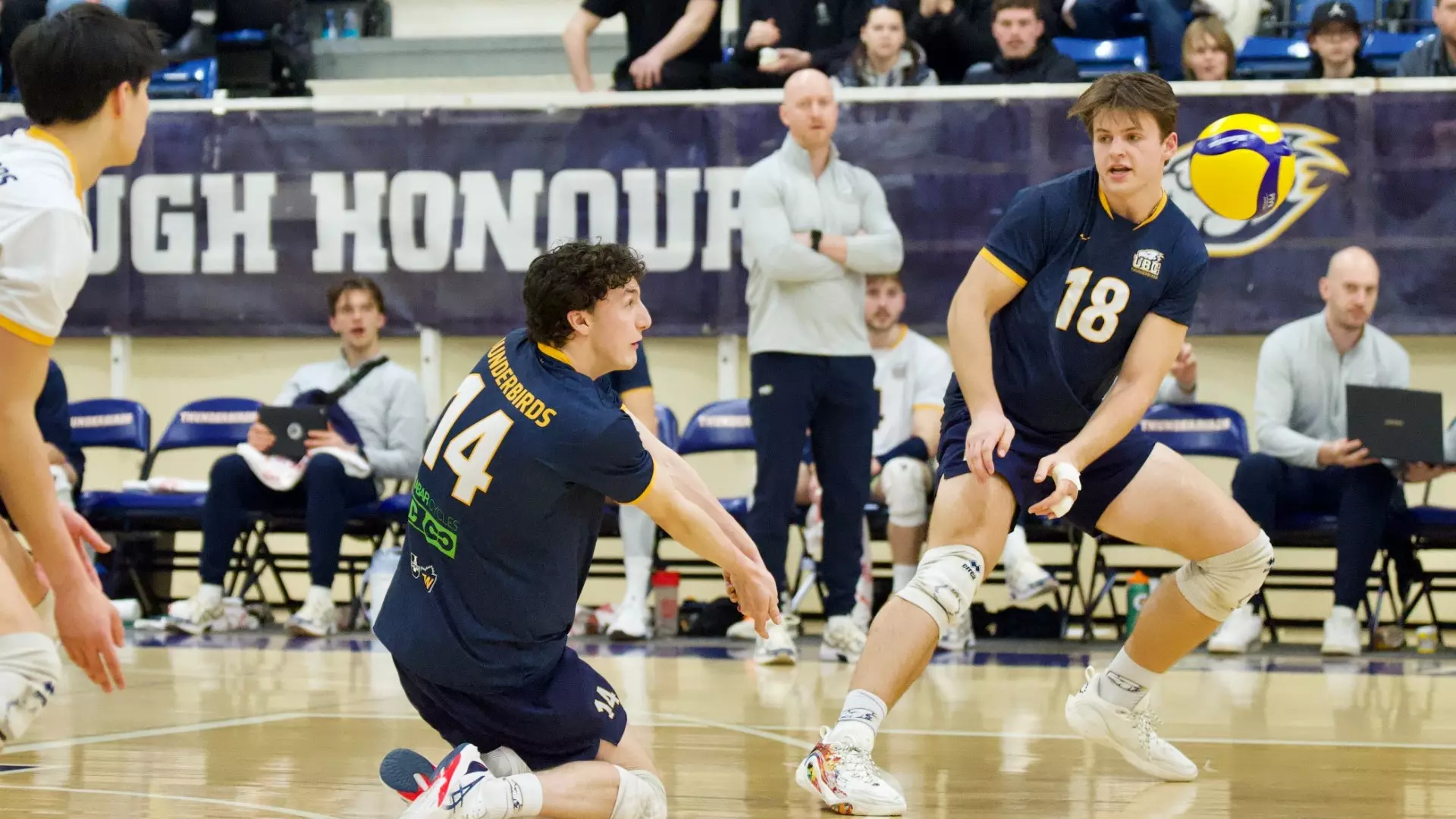 T-Birds set for season-opening tip with pair of duels
against Dinos