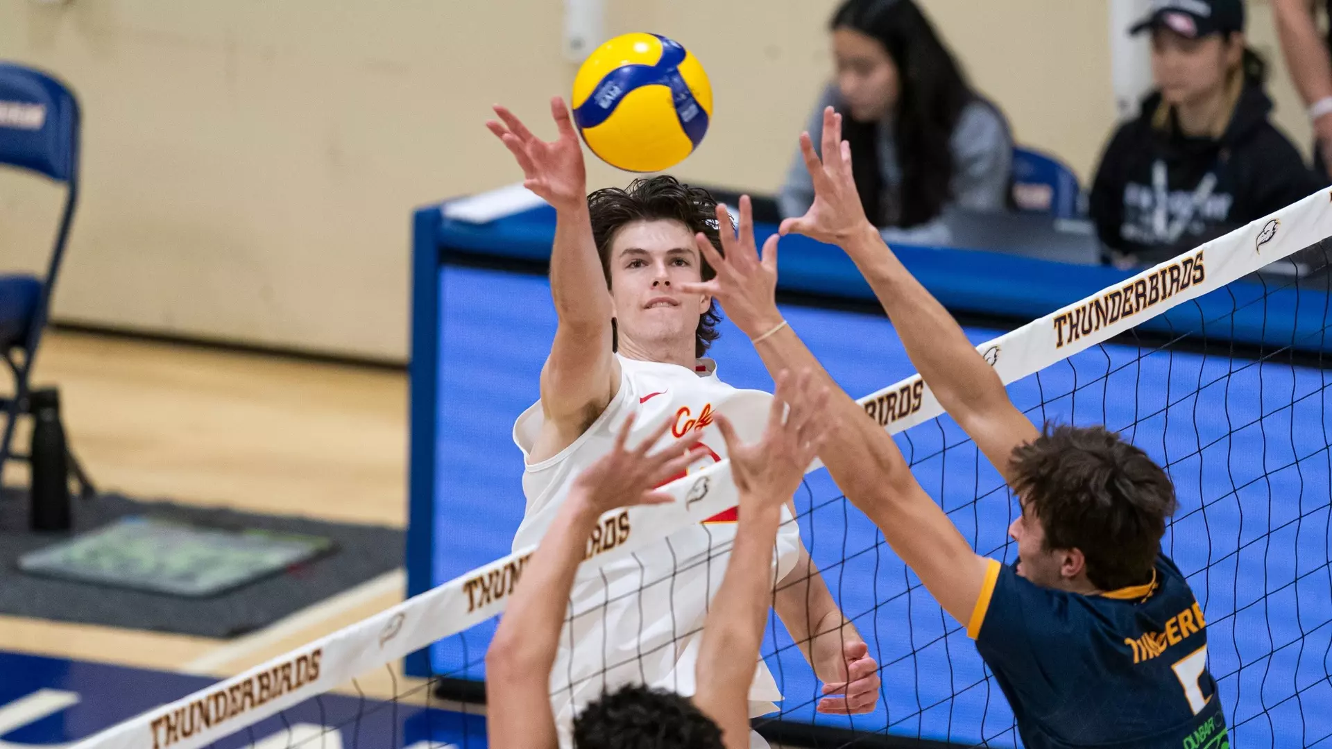 Dinos fall to UBC in Canada West season opener