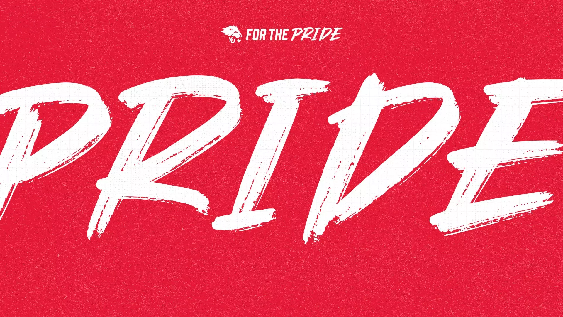 YORK ATHLETICS & RECREATION UNVEILS FOR THE PRIDE
CAMPAIGN