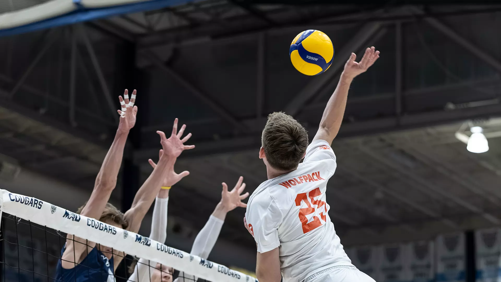 Cougars best WolfPack in four sets